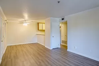 Photo #6: 222112569 Listing 