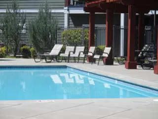 Photo #1: 222113056 Listing 