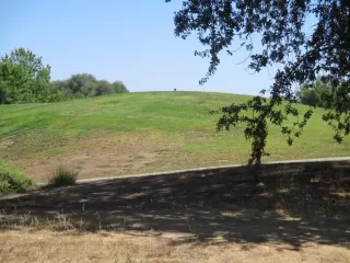 Photo #2: 222113056 Listing 