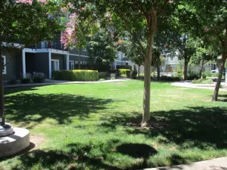 Photo #3: 222113056 Listing 