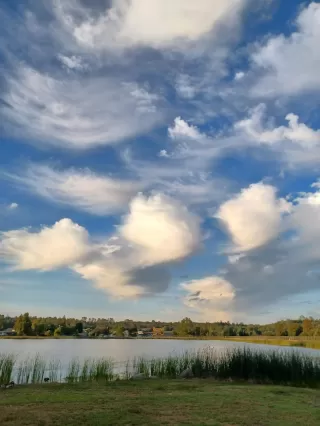 Photo #5: 222113073 Listing 