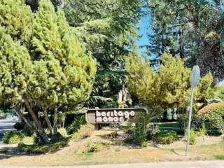 Photo #2: 222115208 Listing 