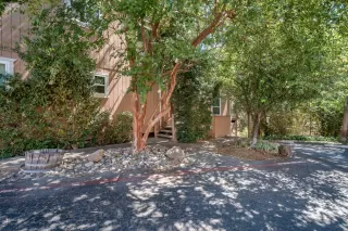 Photo #1: 222116875 Listing