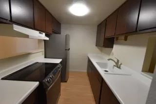 Photo #5: 222117837 Listing 