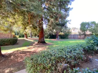 Photo #1: 222118266 Listing