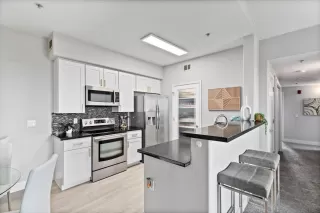 Photo #4: 222122669 Listing 