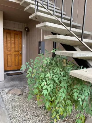 Photo #1: 222123035 Listing