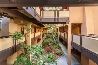 Photo #5: 222125417 Listing