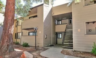 Photo #1: 222126037 Listing 