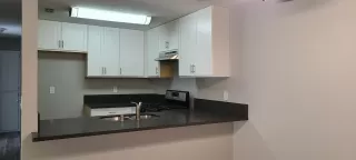 Photo #3: 222126795 Listing