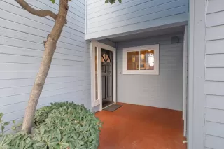 Photo #1: 222127156 Listing 