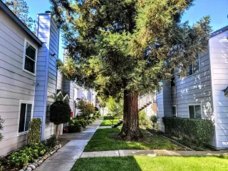 Photo #1: 222127672 Listing