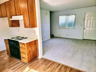 Photo #5: 222127672 Listing