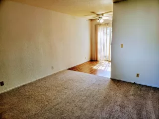 Photo #6: 222127672 Listing