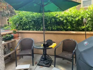 Photo #3: 222127903 Listing 