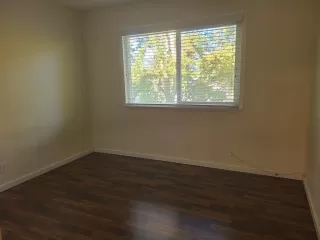 Photo #5: 222128300 Listing 