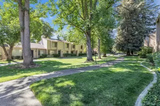 Photo #5: 222128664 Listing