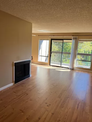 Photo #1: 222133181 Listing 
