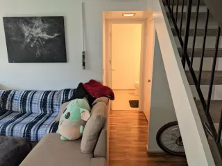 Photo #5: 222133883 Listing 