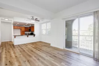 Photo #2: 222133987 Listing