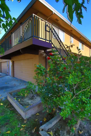 Photo #5: 222134711 Listing