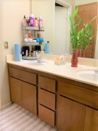 Photo #4: 222135103 Listing