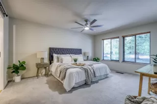 Photo #5: 222135387 Listing 