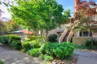 Photo #1: 222135942 Listing