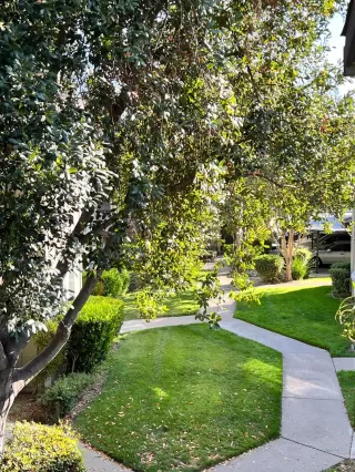 Photo #5: 222136131 Listing 