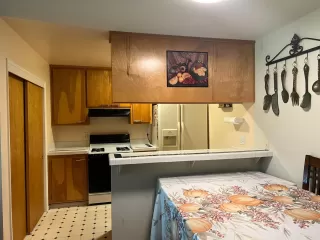 Photo #5: 222139794 Listing