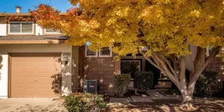 Photo #1: 222141593 Listing 