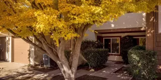 Photo #2: 222141593 Listing 