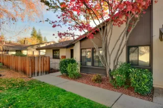 Photo #1: 222143820 Listing