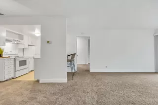 Photo #4: 222143948 Listing