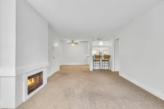 Photo #6: 222143948 Listing