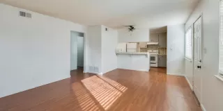 Photo #6: 222144528 Listing