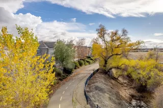 Photo #4: 222145461 Listing