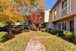 Photo #1: 222145886 Listing