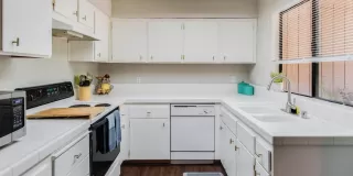 Photo #1: 222145890 Listing 