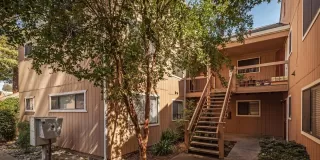 Photo #4: 222145890 Listing 