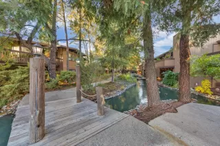 Photo #1: 222147289 Listing