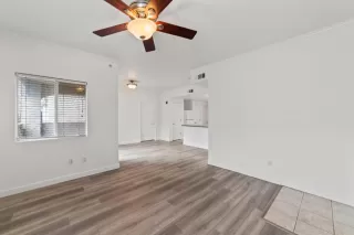 Photo #3: 222147825 Listing 
