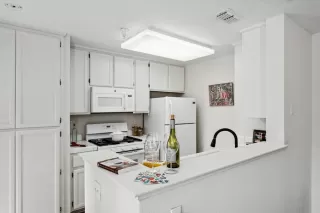 Photo #2: 222148041 Listing 