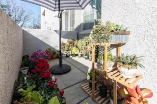 Photo #5: 222148408 Listing 