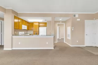 Photo #6: 222149299 Listing