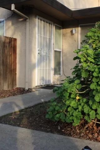 Photo #1: 223000980 Listing