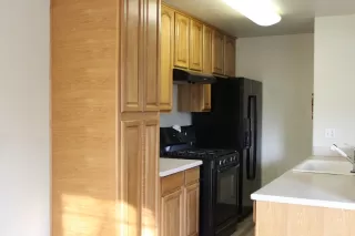 Photo #4: 223000980 Listing