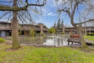 Photo #1: 223002884 Listing