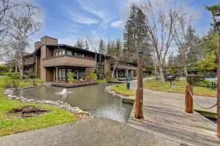 Photo #2: 223002884 Listing