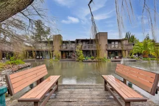 Photo #3: 223002884 Listing